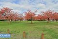 Property photo of 37 Grenache Crescent Caversham WA 6055