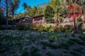 Property photo of 173 Waterfall Gully Road Waterfall Gully SA 5066