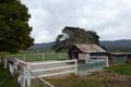 Property photo of 36118 Tasman Highway Springfield TAS 7260