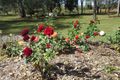 Property photo of 45 Gentle Annie Road Ambrose QLD 4695
