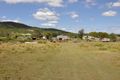 Property photo of 195 Nerimbera School Road Nerimbera QLD 4701