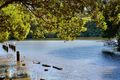 Property photo of 23A Salt Pan Road Peakhurst NSW 2210
