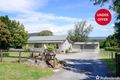 Property photo of 15 McNamaras Road Millgrove VIC 3799