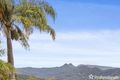 Property photo of 734 Tomewin Mountain Road Currumbin Valley QLD 4223