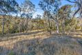 Property photo of 268 Hendrie Road Upper Pilton QLD 4361