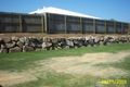 Property photo of 15 Oleosa Close Moggill QLD 4070