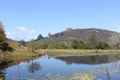 Property photo of 50 Cullen Street Nimbin NSW 2480