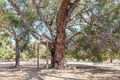 Property photo of 231 Birch Drive Birchmont WA 6214