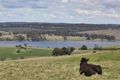 Property photo of 134 Coliban Downs Road Spring Hill VIC 3444