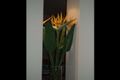 Property photo of 5 Chippindall Street Speers Point NSW 2284