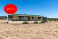 Property photo of 3 Bruce Road Karoonda SA 5307