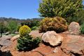 Property photo of 11 Vista Court Gumeracha SA 5233