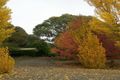 Property photo of 134 Keenans Road Batlow NSW 2730