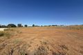 Property photo of 6 Kinlyside Close Young NSW 2594