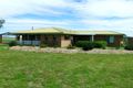 Property photo of 1199 Freestone Road Freestone QLD 4370