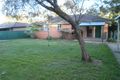 Property photo of 14 Chasselas Avenue Eschol Park NSW 2558