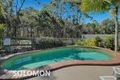 Property photo of 24 Patersonia Place Birkdale QLD 4159