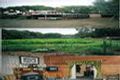 Property photo of 188 St Marys Road Wangoom VIC 3279
