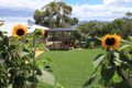 Property photo of 3 Talantee Street Dodges Ferry TAS 7173