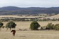 Property photo of 438 Plains Road Hoskinstown NSW 2621