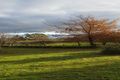 Property photo of 7080 Midland Highway Buninyong VIC 3357