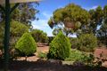 Property photo of 171 Bodeguero Way Wundowie WA 6560