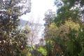 Property photo of 21 Berry Avenue Green Point NSW 2251