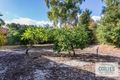 Property photo of 14 Hardy Street Bull Creek WA 6149