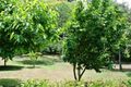 Property photo of 2739 Old Gympie Road Beerwah QLD 4519