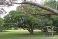 Property photo of 2739 Old Gympie Road Beerwah QLD 4519