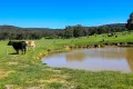 Property photo of 154 Straws Lane Hesket VIC 3442