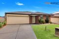Property photo of 7 Safari Drive Tarneit VIC 3029