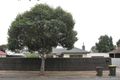 Property photo of 7 Grigg Street Marden SA 5070