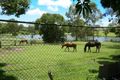 Property photo of 515 Guineas Creek Road Tallebudgera QLD 4228
