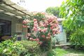 Property photo of 2739 Old Gympie Road Beerwah QLD 4519