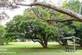 Property photo of 2739 Old Gympie Road Beerwah QLD 4519