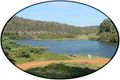 Property photo of 65 Grafton Street Copmanhurst NSW 2460