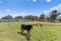 Property photo of 11 Olive Road Devon Meadows VIC 3977