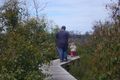 Property photo of 23282 Tasman Highway Scamander TAS 7215