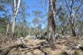 Property photo of 772 Rivertree Road Liston NSW 2372