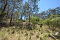 Property photo of 772 Rivertree Road Liston NSW 2372