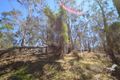Property photo of 772 Rivertree Road Liston NSW 2372