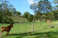 Property photo of 161 Black Pinch Road Cootharaba QLD 4565