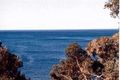 Property photo of 7A Nelson Street Boat Harbour NSW 2316