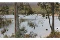 Property photo of 287 Bradys Lake Road Bradys Lake TAS 7140
