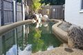 Property photo of 3/8 Bell Street Bungalow QLD 4870