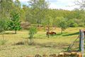 Property photo of LOT 3 Preston Lane Horse Creek QLD 4714