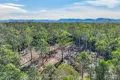 Property photo of 11 Innes Lane Melinga NSW 2430