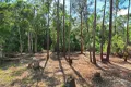 Property photo of 11 Innes Lane Melinga NSW 2430