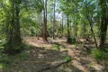 Property photo of 11 Innes Lane Melinga NSW 2430